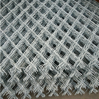 安平縣中禹金屬絲網(wǎng)制品廠(chǎng)